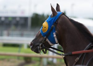 Blinders in Business