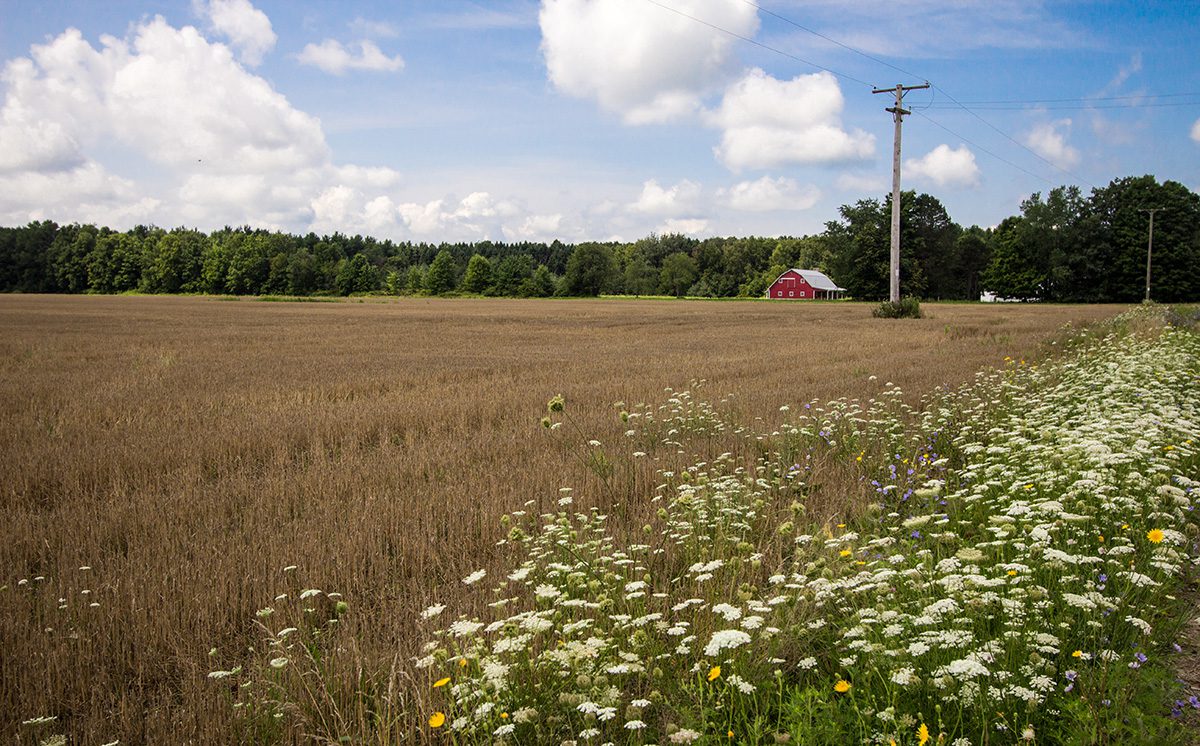 who will be your farmer?