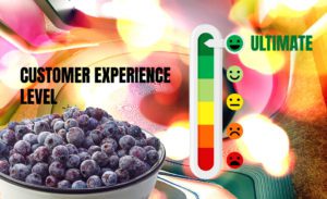 ultimate customer experience