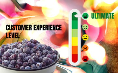 “Jerry’s Berries” – the Two Steps a Hotel Employee Took to Deliver an Ultimate Customer Experience®