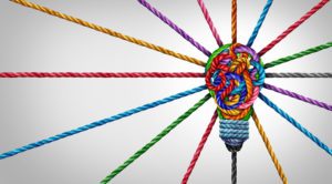 diversity of thought