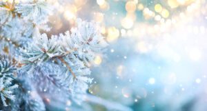 Navigating the Holiday Season Through the Ultimate Customer Experience®