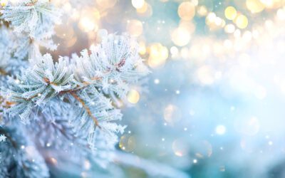 Navigating the Holiday Season Through the Ultimate Customer Experience®